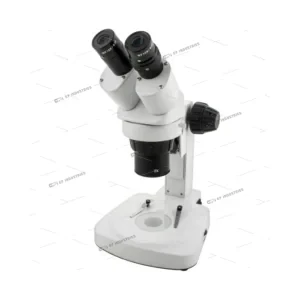 Power Stereo Microscope – Triple Magnification
